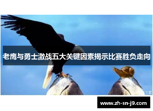 老鹰与勇士激战五大关键因素揭示比赛胜负走向 老鹰与勇士激战五大关键因素揭示比赛胜负走向