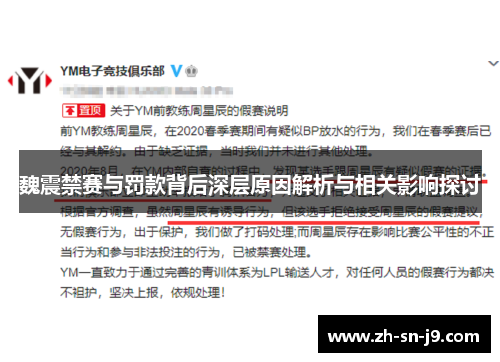 魏震禁赛与罚款背后深层原因解析与相关影响探讨 魏震禁赛与罚款背后深层原因解析与相关影响探讨